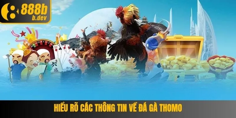 Đá Gà Thomo – Chinh Phục Sảnh Cược 888B Những Trận Gà Hấp Dẫn 3 Thể thức thi đấu khi chơi đá gà