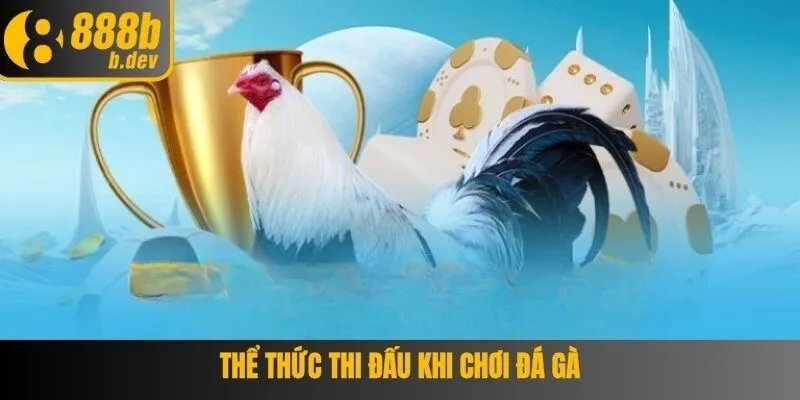 Đá Gà Thomo – Chinh Phục Sảnh Cược 888B Những Trận Gà Hấp Dẫn 2 Hiểu rõ các thông tin cơ bản về đá gà thomo