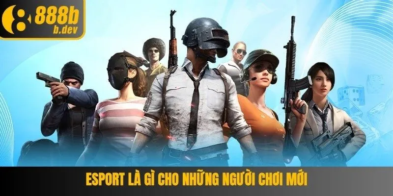 Esport Là Gì Câu Trả Lời Dành Cho Những Người Chơi Mới 3 Esport Là Gì